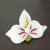 Anstecker Orchidee 11.1