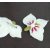 Anstecker Orchidee 11.1